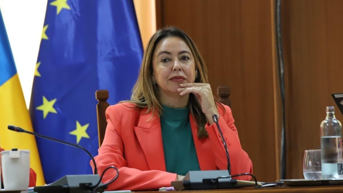 Dolores Corujo, secretaria del PSOE de Lanzarote, consejera en el Cabildo y diputada por Las Palmas