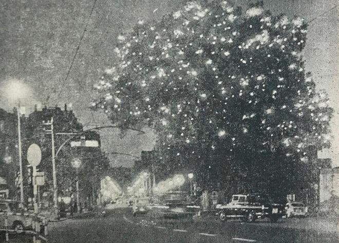 Un paseo por 50 años de Navidad en Vigo: de los gigantes árboles naturales a la noria
