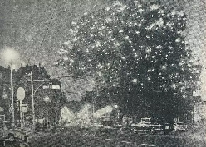 Un paseo por 50 años de Navidad en Vigo: de los gigantes árboles naturales a la noria