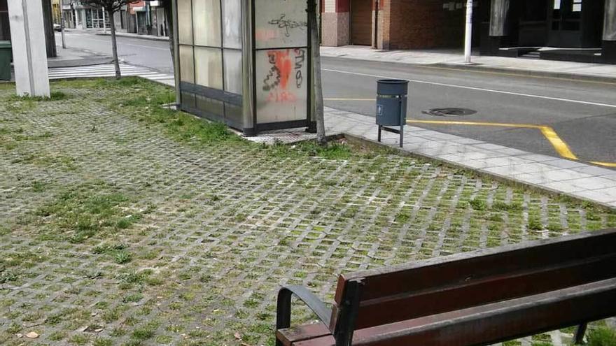 El banco junto al que fue asistido el hombre apuñalado.