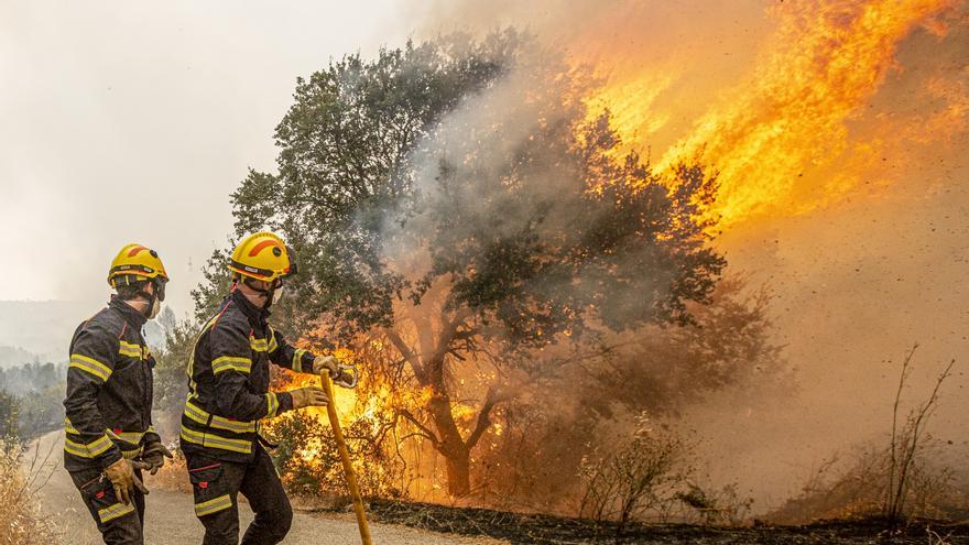 Dos millones en ayudas a las empresas agroalimentarias afectadas por los incendios forestales de 2022, entre ellas las de Vall d&#039;Ebo