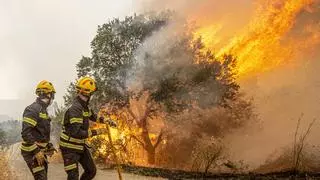 Dos millones en ayudas a las empresas agroalimentarias afectadas por los incendios forestales de 2022, entre ellas las de Vall d'Ebo