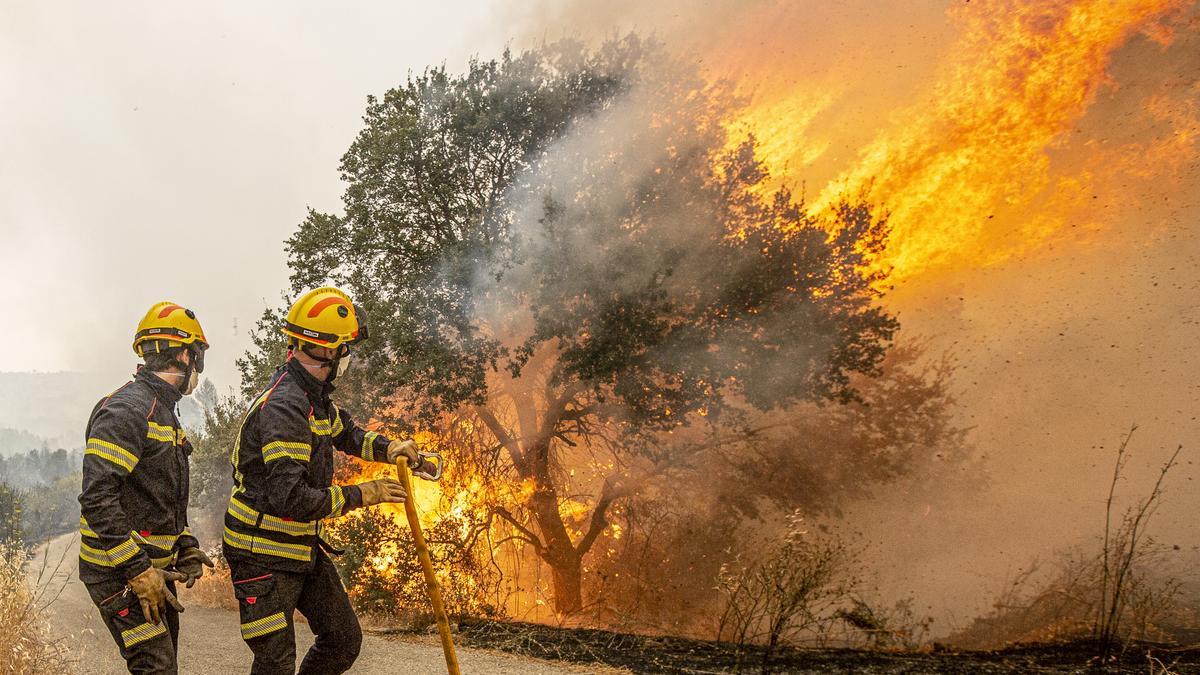 Dos bomberos durante un incendio forestal de Vall d'Ebo