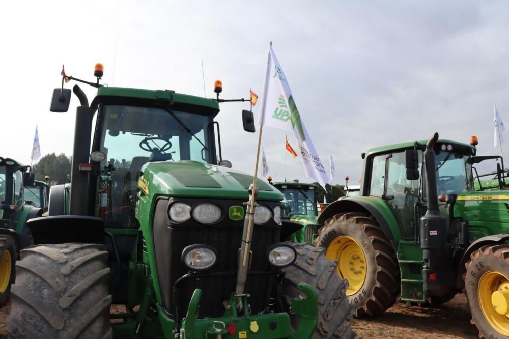 Tractorada de los agricultores y ganaderos malagueños contra los precios bajos que impone la industria.