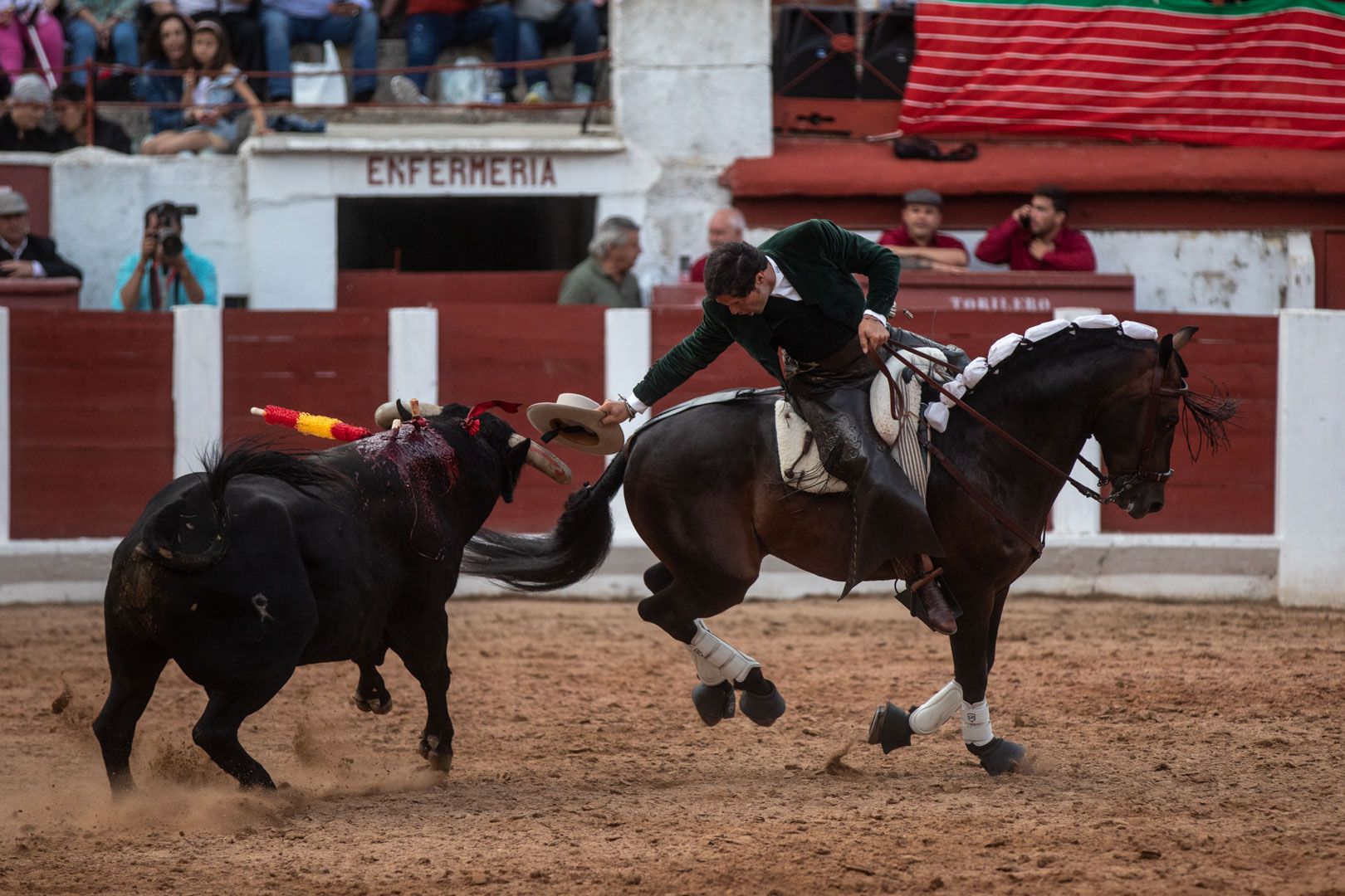 GALERÍA | La corrida de rejones de Zamora, en imágenes