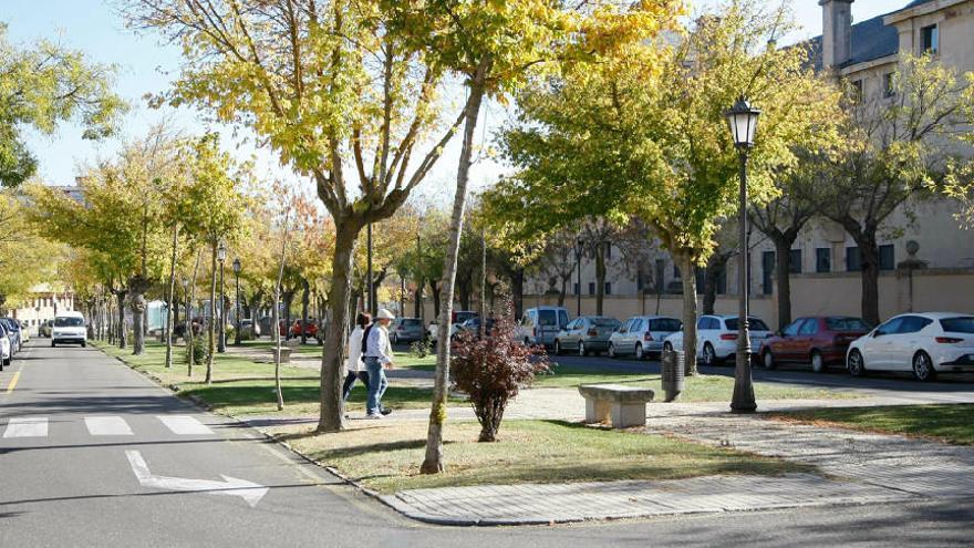 Avenida de Reyes Católicos.