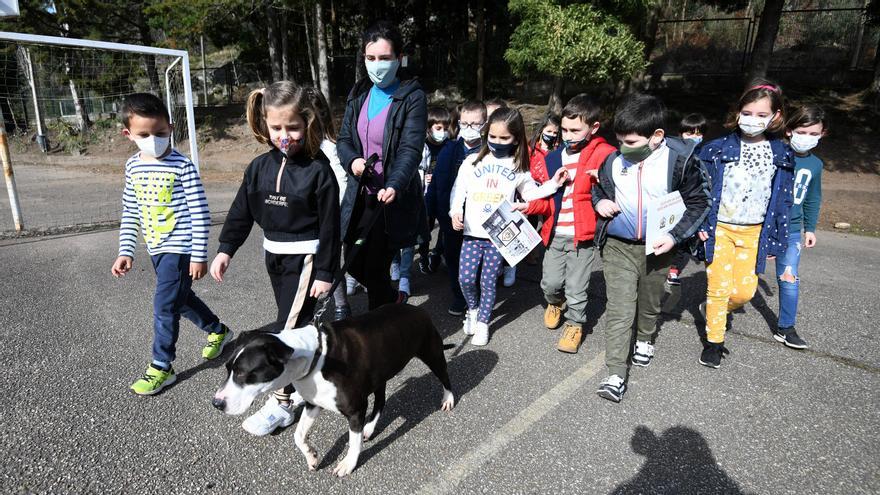 Los escolares de Chancelas con el perro Teo en el colegio.