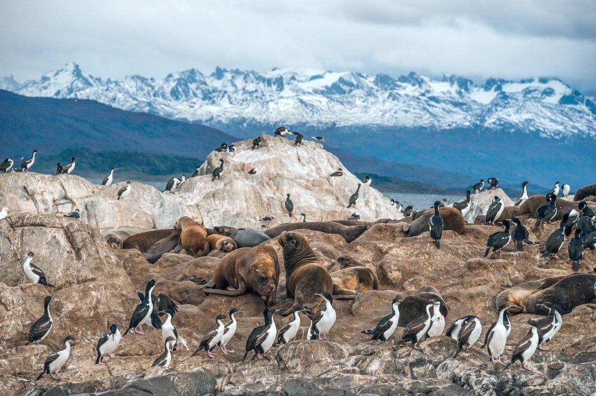 Canal de Beagle, Argentina