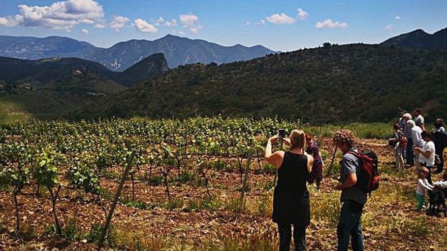 Els productors de l&#039;Alt Urgell preparen les visites guiades per la comarca