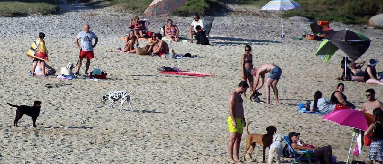 La playa canina de O Espiño. // Muñiz