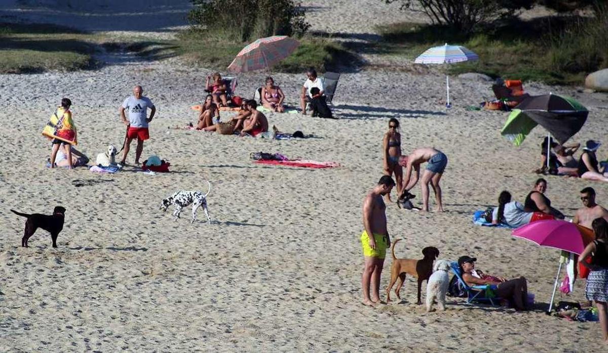 La playa canina de O Espiño. // Muñiz