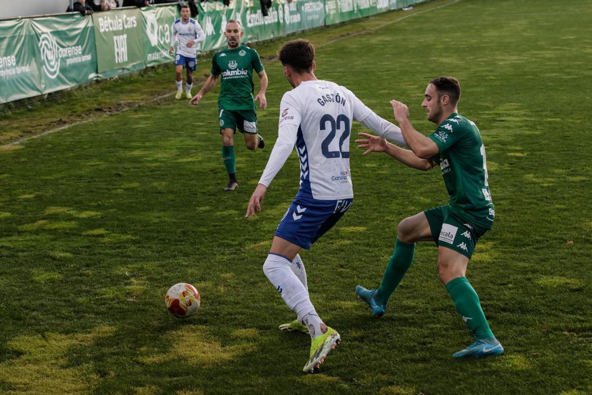 Arenteiro - CD Tenerife Arenteiro - CD Tenerife