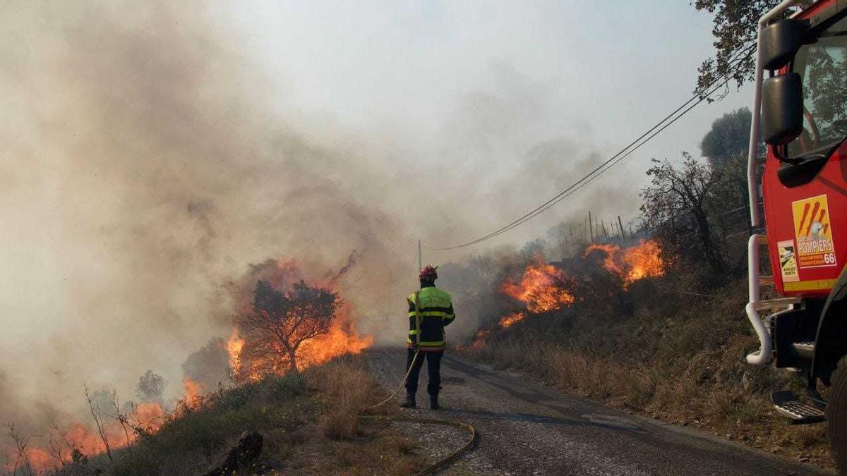 Bombers treballant en l'extinció de l'incendi de Portbou, aquest mes d'abril.