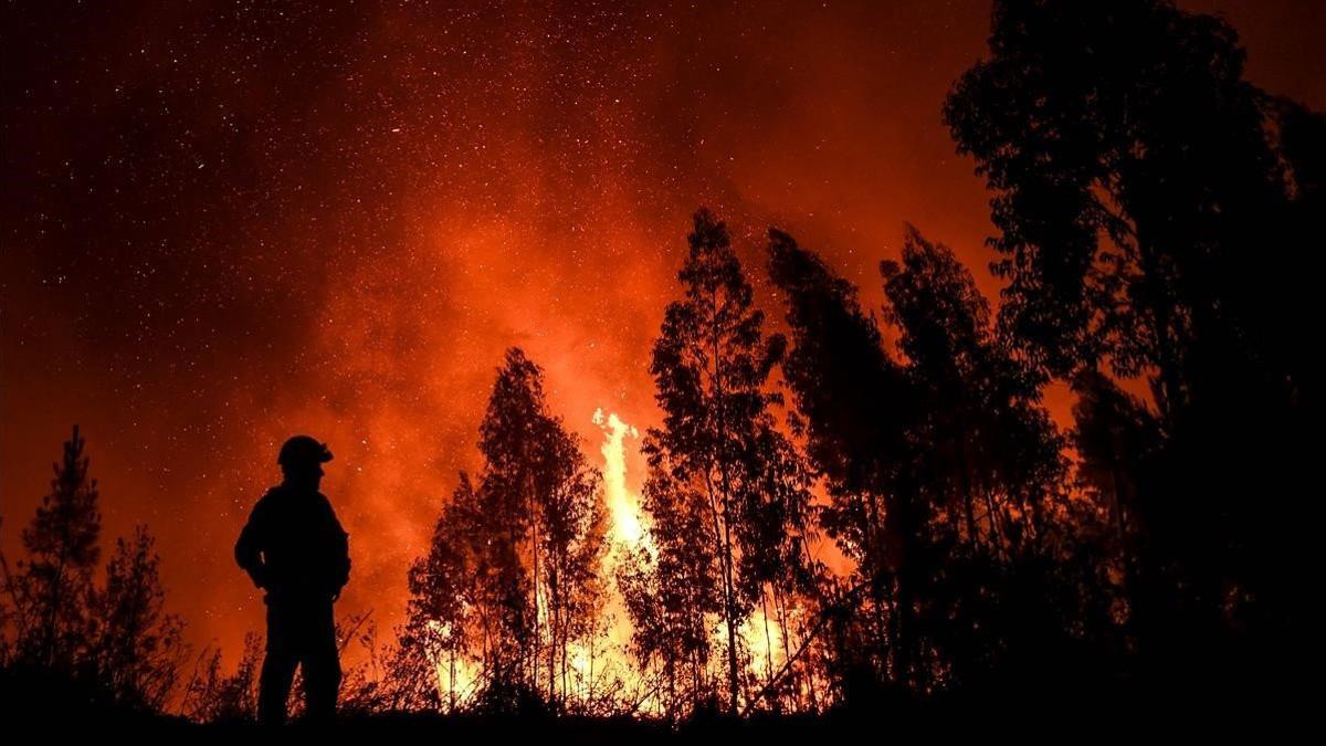 zentauroepp49157410 a firefighter monitors the progression of a wildfire at amen190721114006