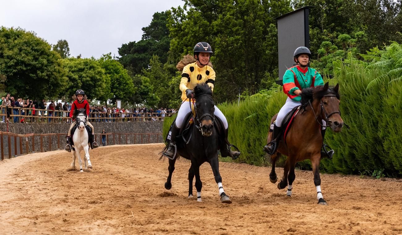 Carrera de caballos III Copa San Vicente Ferrer en Valleseco