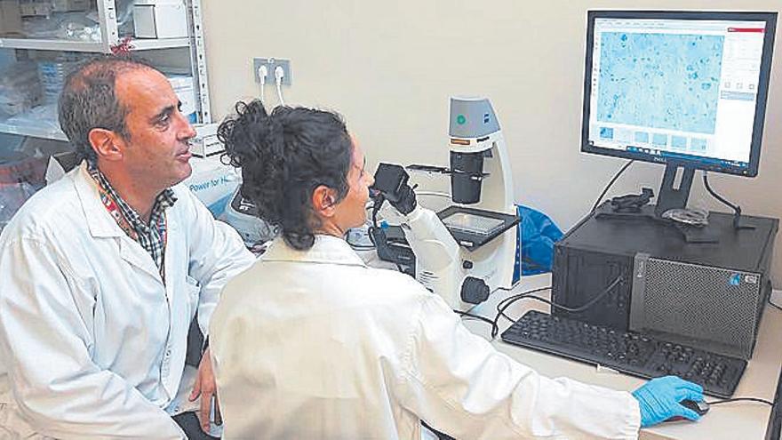 La UCAM, comprometida en la investigación contra el cáncer