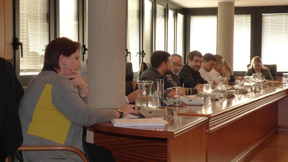 Un pleno de la legislatura 2015-2019, con representación de Esquerra Oberta y Sí Se Puede