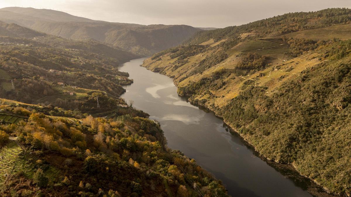 Paisaje de la Ribeira Sacra.