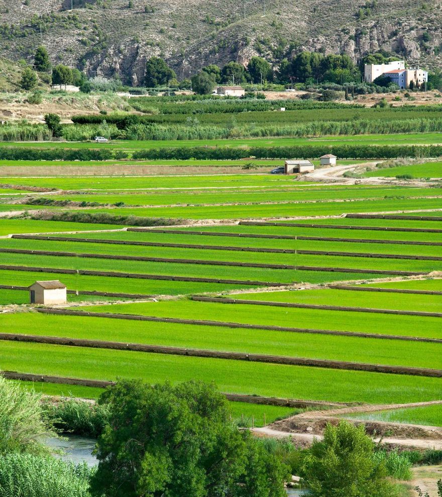 Calasparra se posiciona como referente turístico de la Región en Fitur