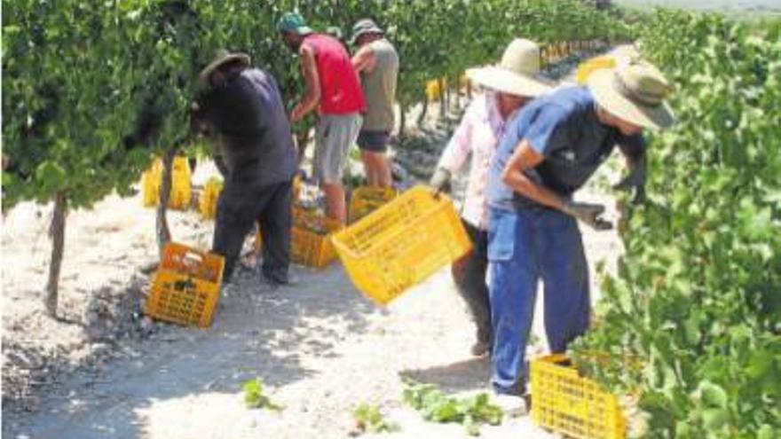 23 meses de caída anual del paro