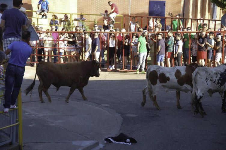 Fiestas de Santa Cristina de la Polvorosa 2017