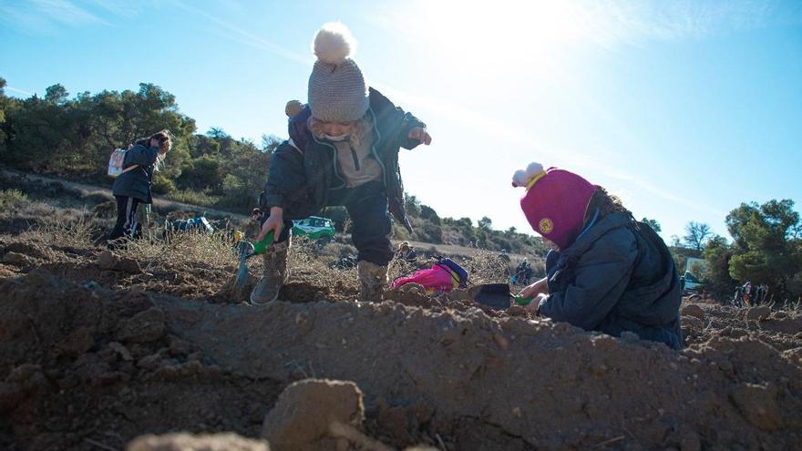 Gran Casa ha plantado 300 árboles en el Bosque de los Zaragozanos