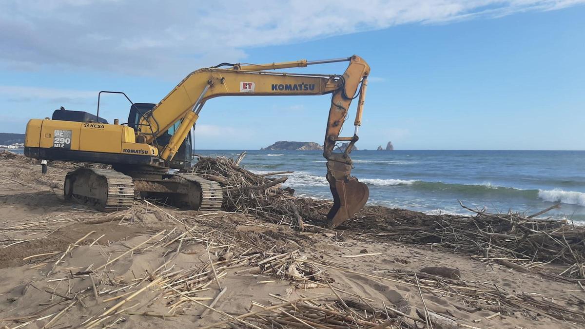 VÍDEO | Torroella de Montgrí fa la neteja "urgent" de les platges afectades pel temporal per tenir-les a punt per Setmana Santa