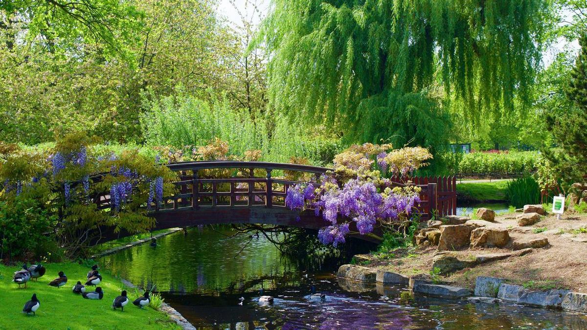 Un precioso barrio que hace frontera con Regent's Park.