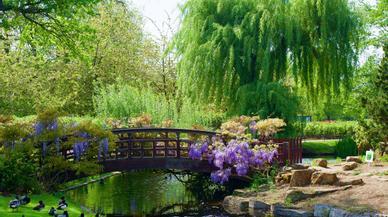 Todos quieren vivir en Marylebone, el sofisticado barrio de Londres hogar de Sherlock Holmes
