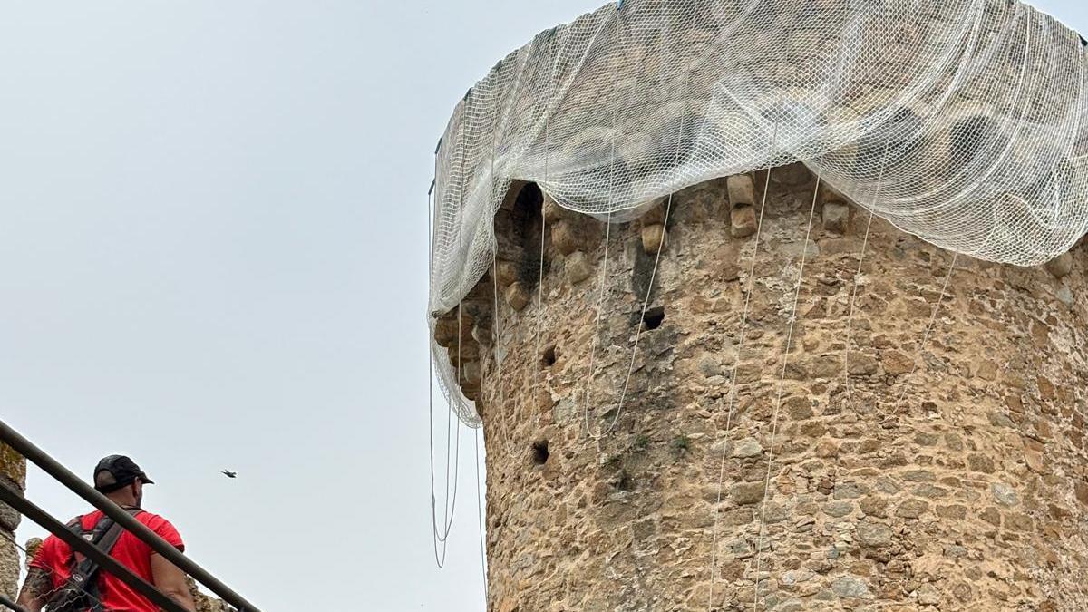 Els treballs que s'estan portant a terme de seguretat.