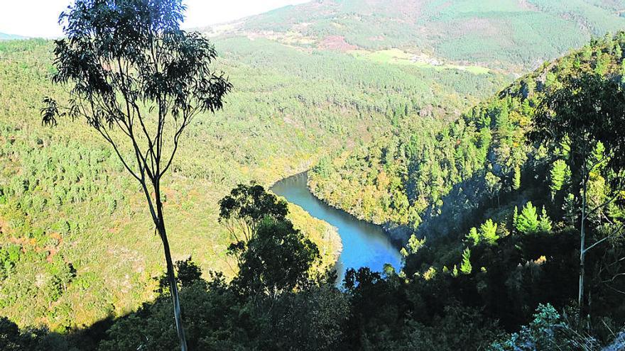 Lugares por donde discurrirá la nueva Ruta Viesgo de los Miradores del Navia, que se inaugura el 7 de mayo, &quot;Día regional del senderismo&quot;.