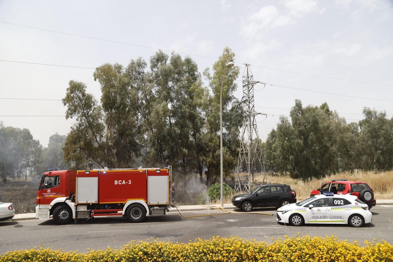 Un incendio de pastos junto al Parque Joyero moviliza a bomberos, Infoca y Policía Local