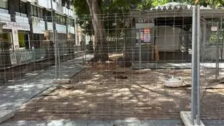 Servicios Públicos localizó y erradicó tres focos de ratas este verano en distritos de Santa Cruz