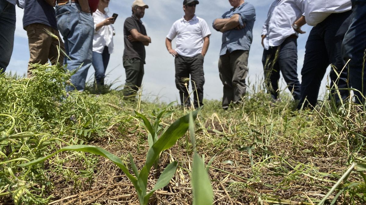 La agricultura regenerativa y la ecológica no usan sustancias tóxicas en sus cultivos