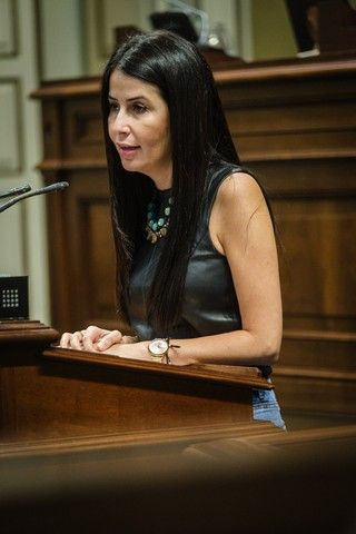 Segunda jornada del pleno en el Parlamento de Canarias, 27/04/2022