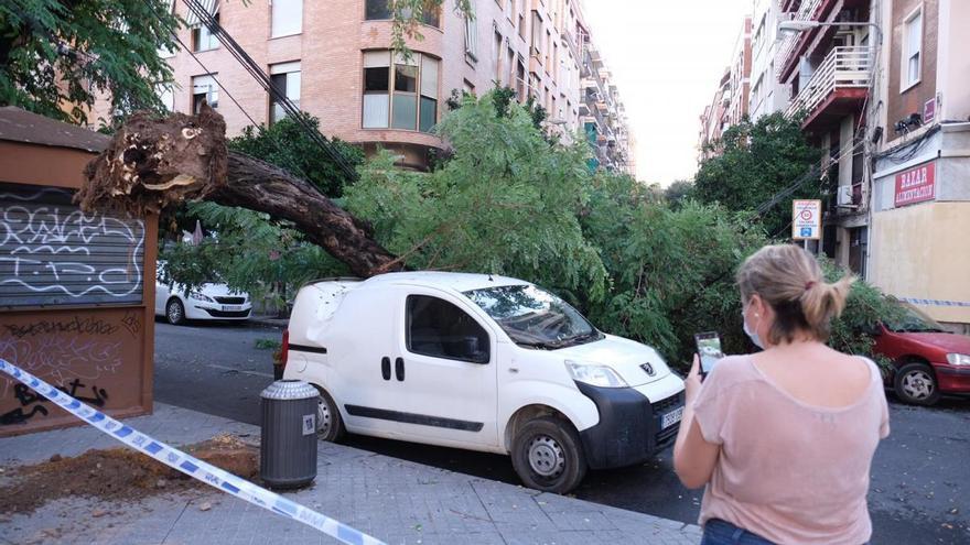 El Ayuntamiento apunta a la Aemet y a la CHG como origen de parte de las inundaciones