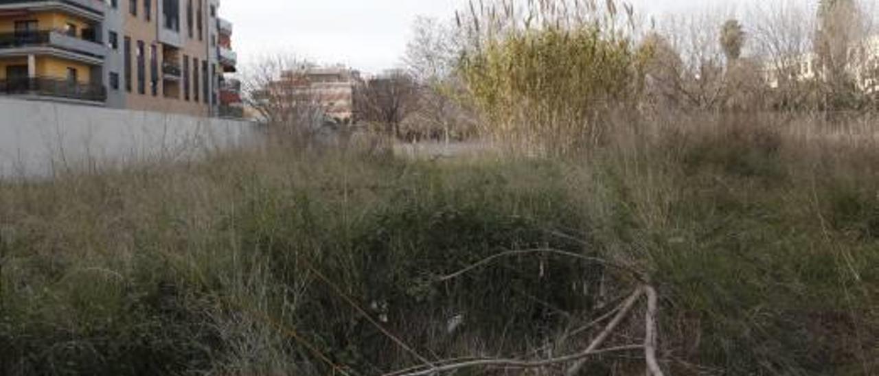 Alzira emplaza al Consell a limpiar un solar lleno de maleza junto al instituto