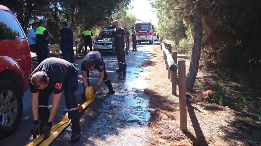 Imagen de la intervención de los bomberos del Consorcio esta mañana en Guardamar