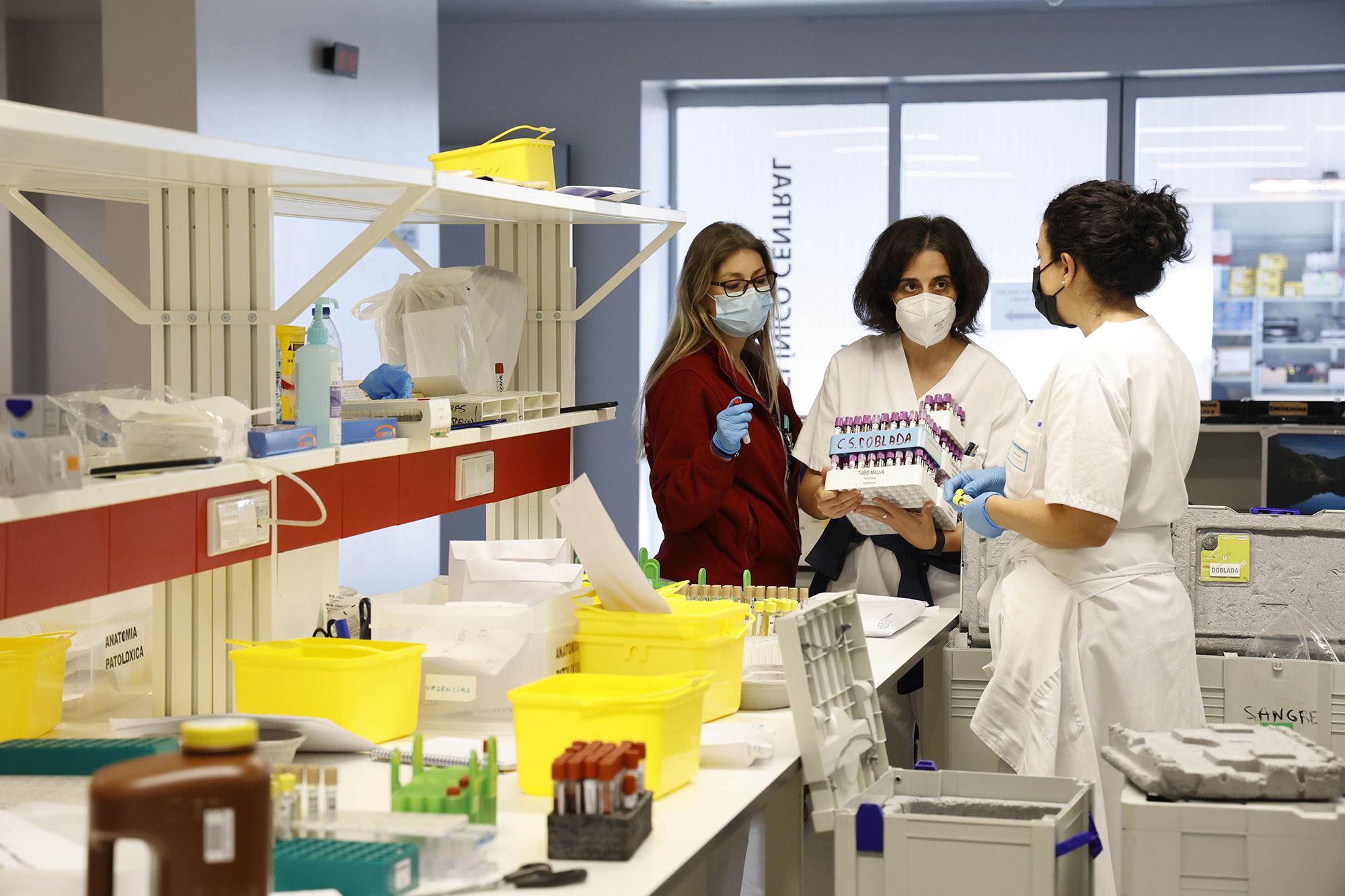 Profesionales del laboratorio del Hospital Meixoeiro recepcionando la llegada de las neveras con las muestras clínicas