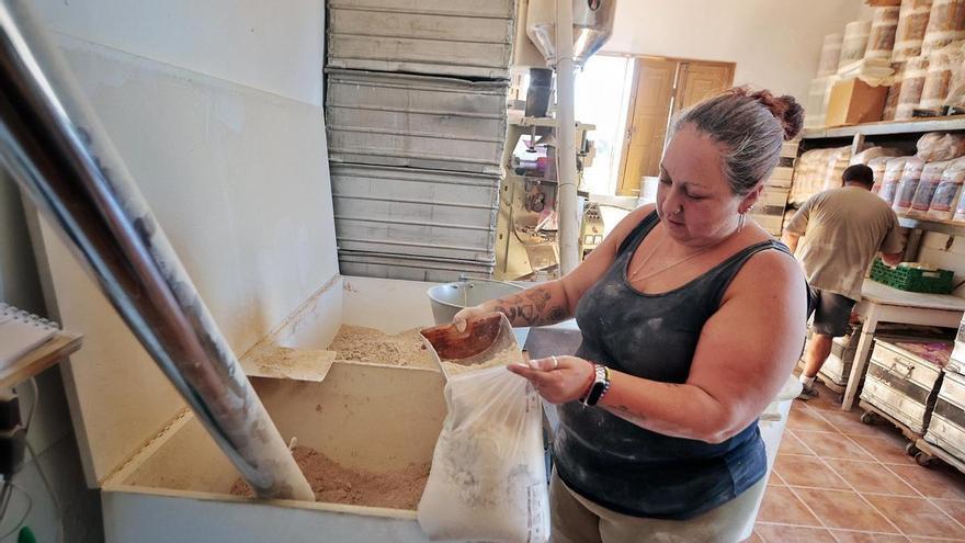 El gofio canario: récord de producción frente a la caída del consumo doméstico