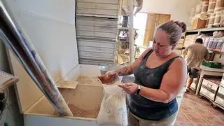 Los molinos de gofio de Tenerife: una historia tostada y pasada por piedra