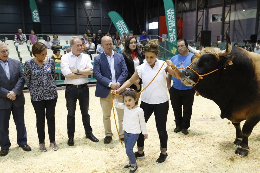 Feria ganadera de San Antonio