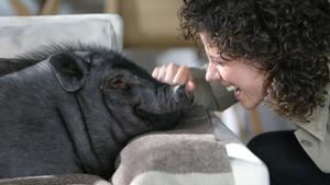 La actriz Anna Sahun con la cerda Misèria en la serie de TV3.