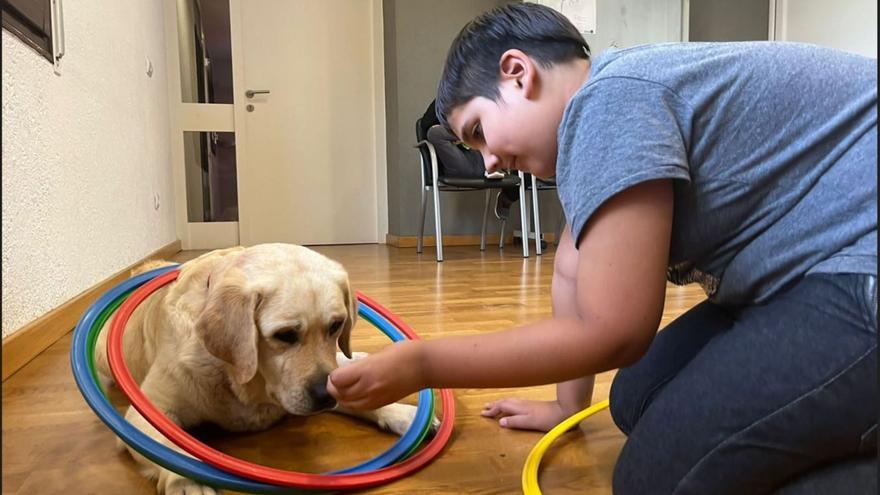 Una teràpia amb gossos beneficia infants amb autisme a l’Alt Empordà