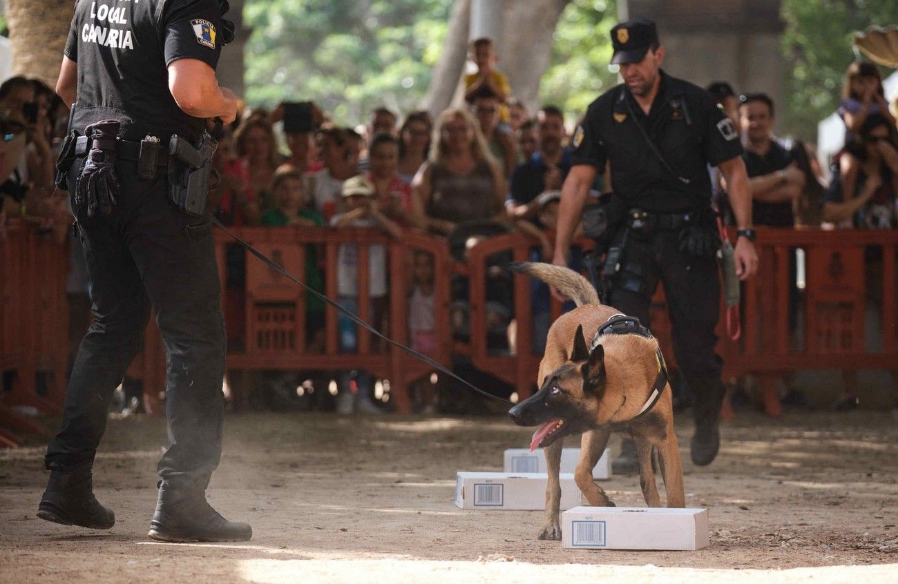 Día de los Animales en Santa Cruz