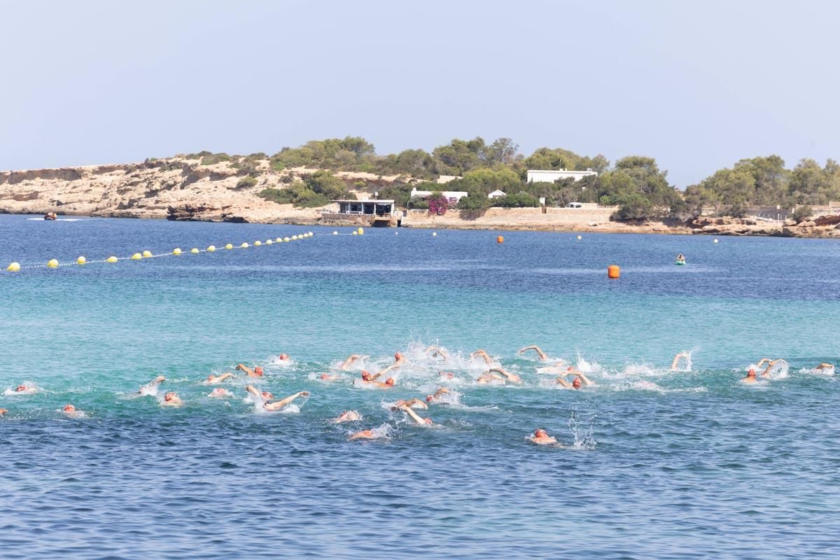 Las imágenes de la travesía a nado del Canal de Sant Antoni