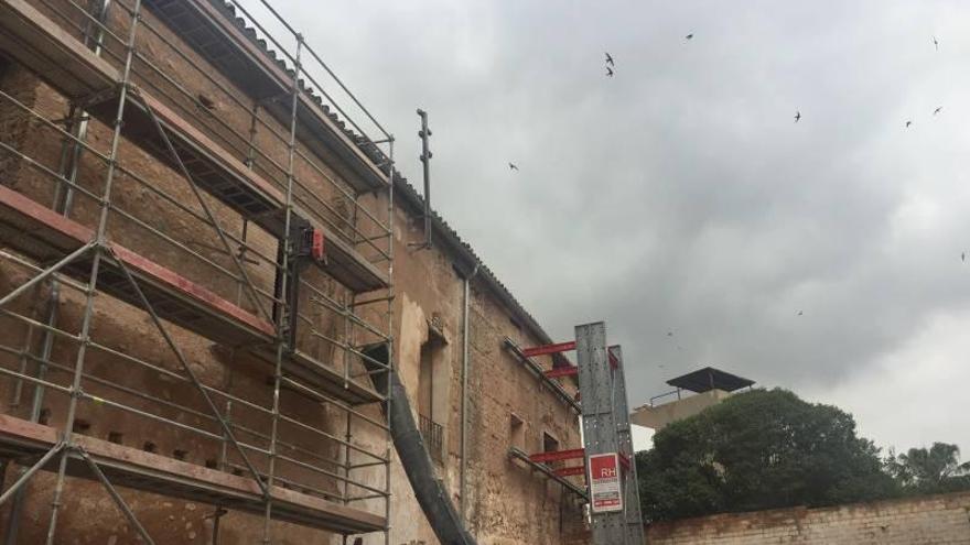 Betxí conjuga las obras del palacio con el respeto a las aves