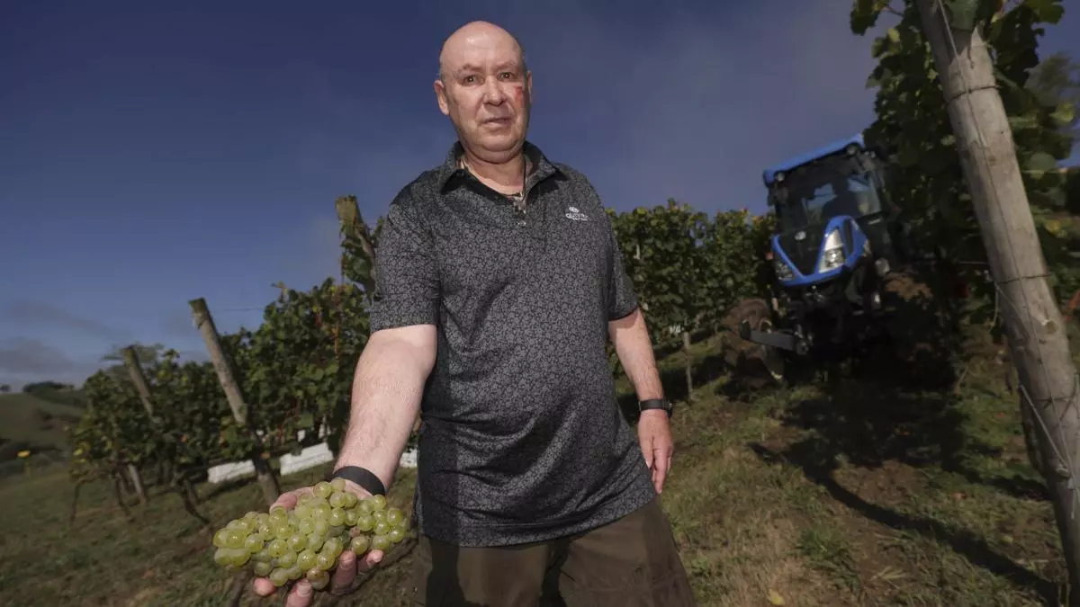 El sol del verano augura la mejor añada del vino que se elabora más al norte de España: el gran proyecto de un emprendedor asturmexicano