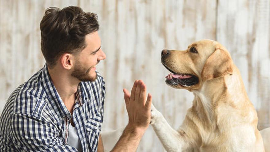 Un hombre saluda a un perro.