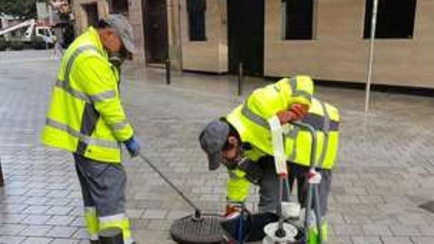 Operarios de la empresa del servicio de plagas del Ayuntamiento dispensando productos larvicidas en una alcantarilla.